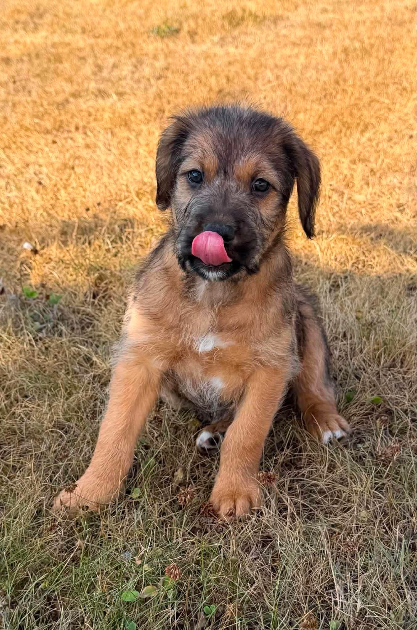 Titan