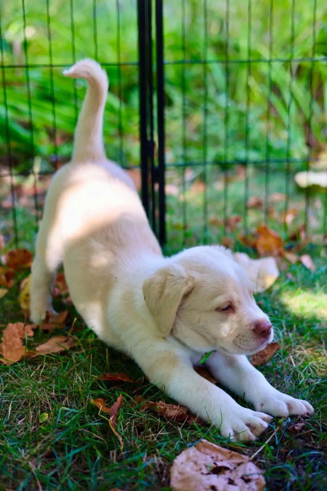 Casper image 2