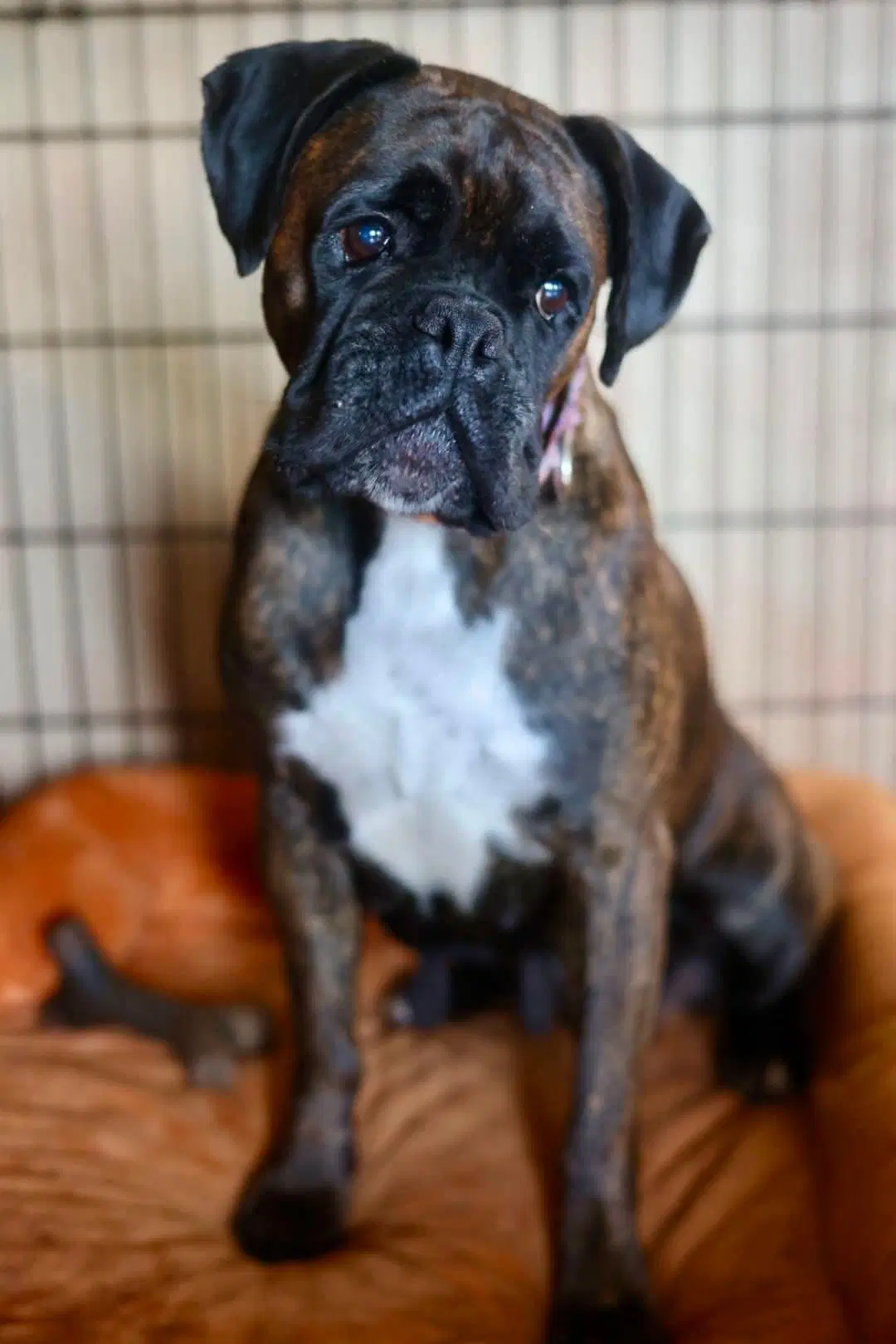 Sandra image 3