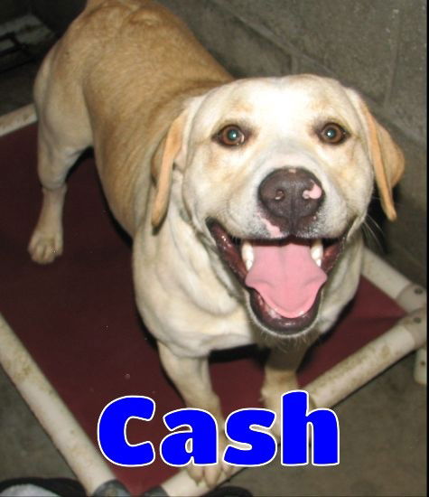 cash advance bakersfield