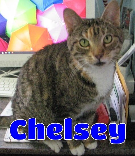 #5286 Chelsey