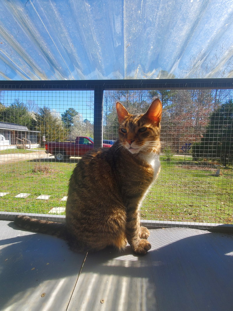 Nemo, photo 4