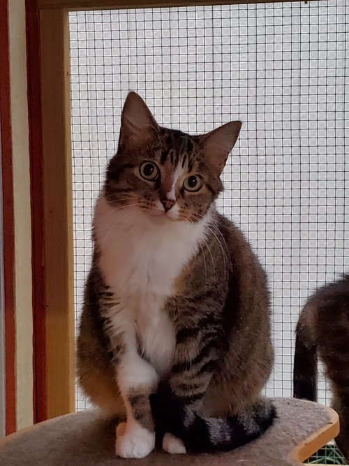 Photo 3 of Pepper