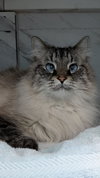 Charlie