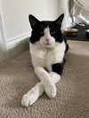 Mike