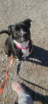 MOLLY - Photo 2