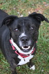 MOLLY - Photo 1