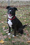 MOLLY - Photo 3