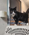 TIPPY - Photo 1