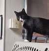 TIPPY - Photo 2