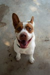 Ajax - Photo 2