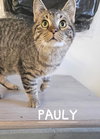 PAULY - Photo 1