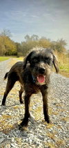 ROCCO - Photo 1