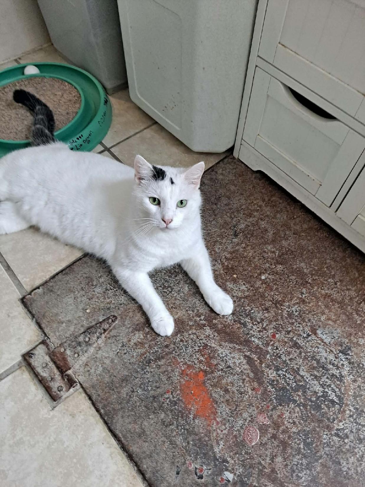 PEPPER